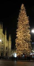 Albero di Natale - Milano, piazza Duomo