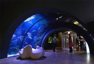 acquario-civico-milano